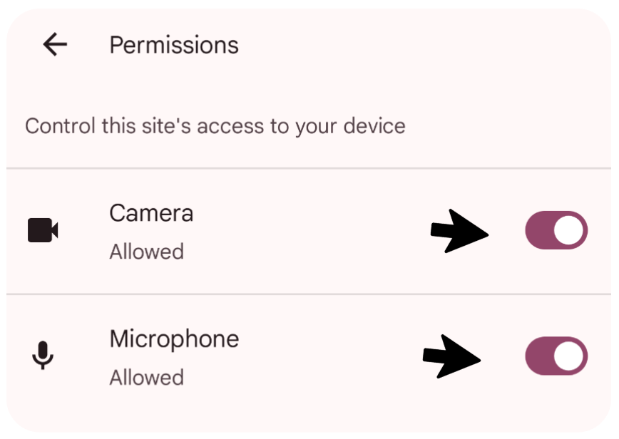 Permissions screen with Camera and Microphone toggle switches